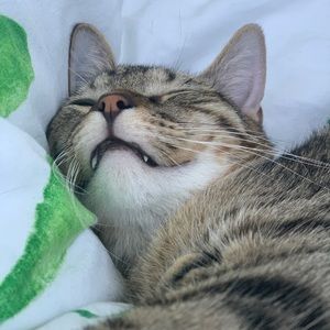 Meet your Posher, Maria